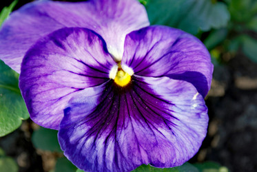 Similar image 22093030