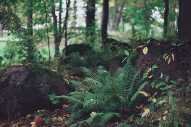 Similar image 22093032