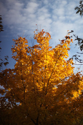 Similar image 22093052