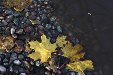 Similar image 22093053