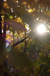 Similar image 22093054