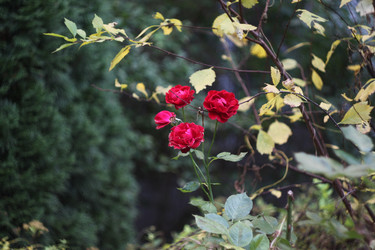 Similar image 22093055