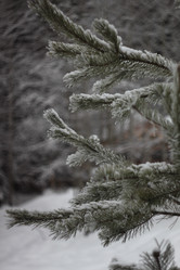 Similar image 22093059