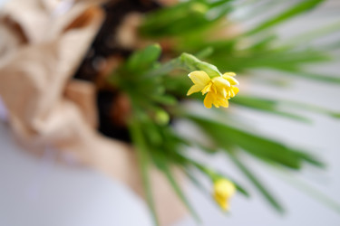 Similar image 22116916