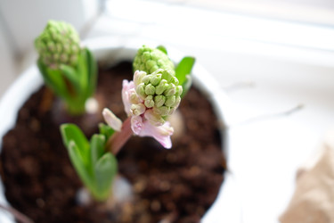 Similar image 22116917