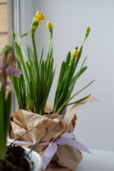 Similar image 22116919