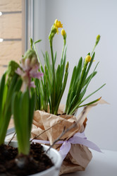 Similar image 22116920