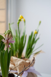 Similar image 22116921