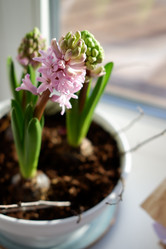 Similar image 22116922