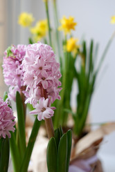 Similar image 22116923