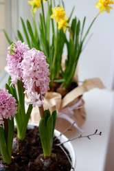 Similar image 22116924