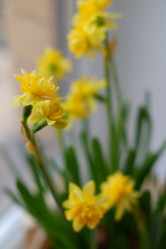 Similar image 22116925