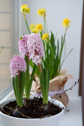 Similar image 22116926