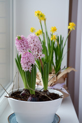 Similar image 22116927