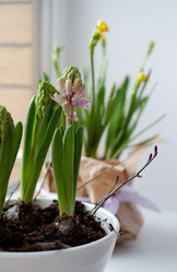 Similar image 22116928