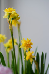 Similar image 22116929