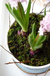 Similar image 22116930