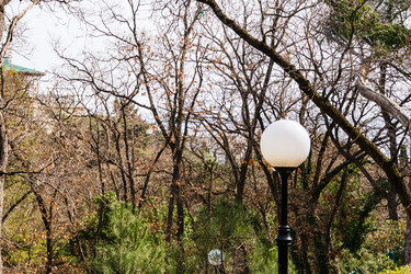 Similar image 22097634