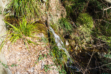 Similar image 22097635