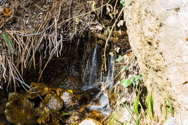 Similar image 22097636