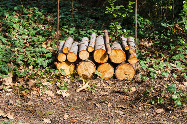 Similar image 22098587