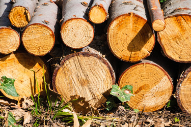 Similar image 22098588