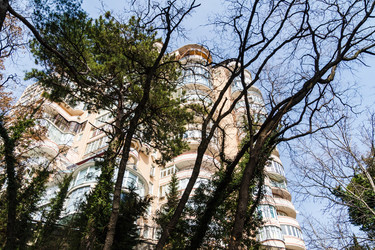 Similar image 22098589