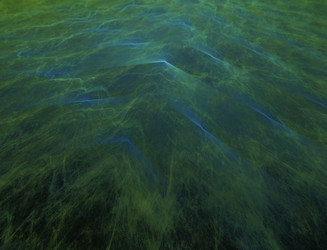 Similar image 22098504