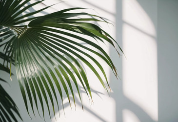 Similar image 22114201