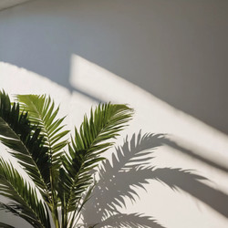 Similar image 22114202