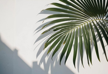 Similar image 22114203