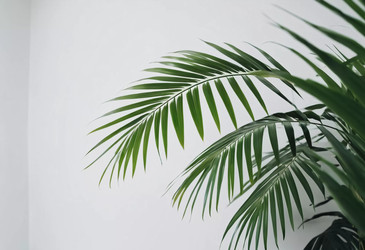 Similar image 22114204