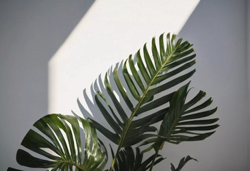 Similar image 22114408