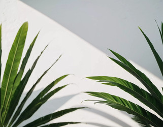 Similar image 22114409