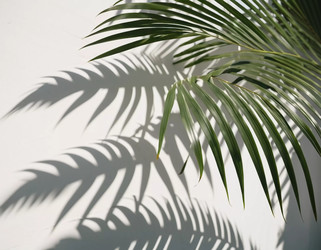 Similar image 22115806