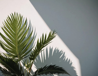 Similar image 22115807