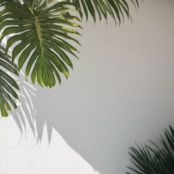 Similar image 22115808