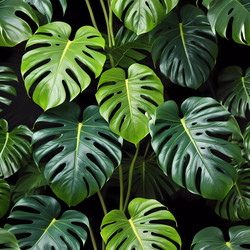 Similar image 22118842