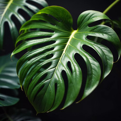 Similar image 22119415