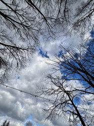 Similar image 22092857