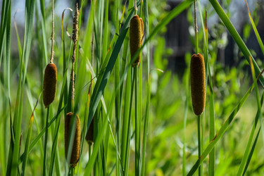 Similar image 22092932