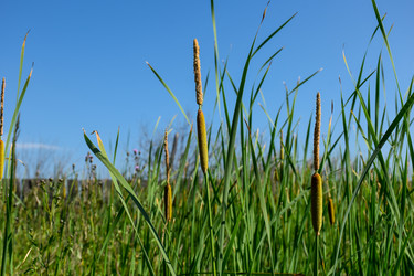 Similar image 22092934