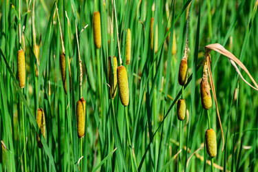 Similar image 22092935