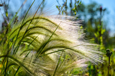 Similar image 22092937