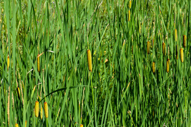 Similar image 22092938