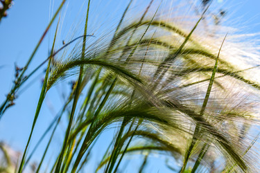 Similar image 22092939