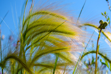 Similar image 22092940