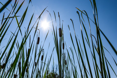 Similar image 22092941