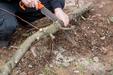 Similar image 22093464