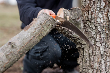 Similar image 22093465